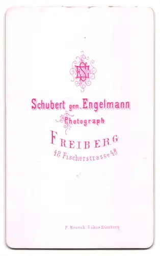 Fotografie Schubert gen. Engelmann, Freiberg, Fischerstrasse 48, Molliger Fratz in kartiertem Kleid