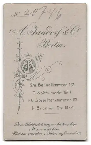 Fotografie A. Jandorf & Co., Berlin-SW, Bellealliancestrasse 1-2, Portrait junge Dame im Kleid mit Spitzenkragen