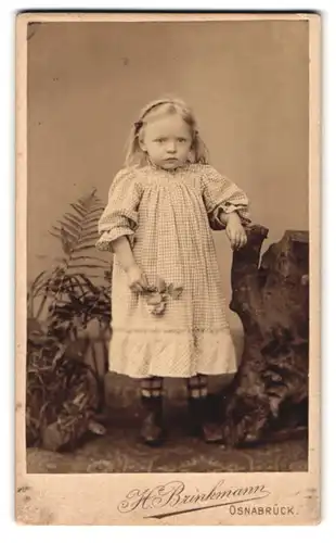 Fotografie H. Brinkmann, Osnabrück, Augustenburgerstrasse 12, Portrait kleines Mädchen im karierten Kleid