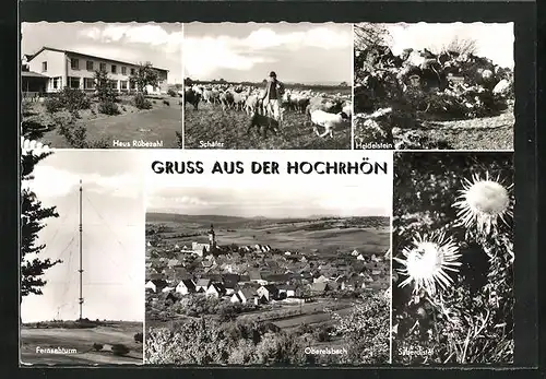 AK Oberelsbach /Hochrhön, Hasu Rübezahl, Fernsehturm, Schäfer