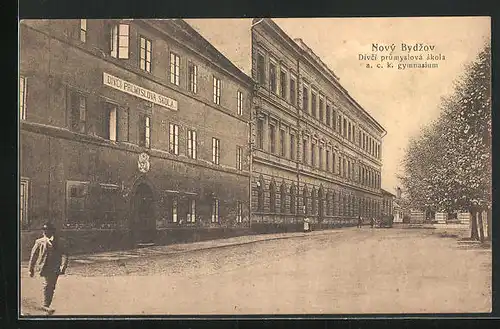 AK Novy Bydzov, Divci prumyslová skola a. c. k. gymnasium