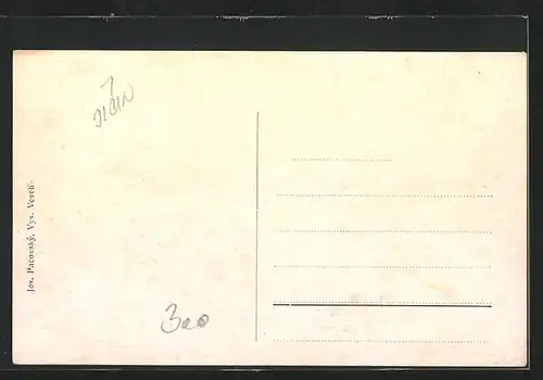 AK Vys. Veseli, Kostel, Cast Námesti, Skola, Cukrovar, Stadtwappen
