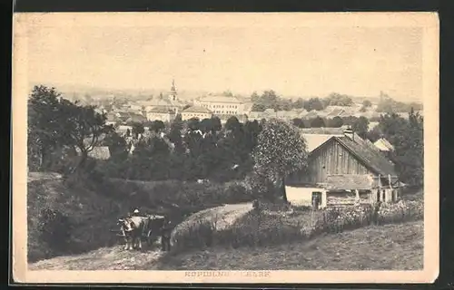 AK Kopidlno, Bauernhaus am Stadtrand, Ochsenkarren