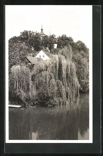 AK Trebechovice, Haus mit Trauerweide am Fluss