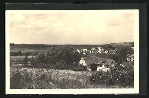 AK Vlkov, Blick auf Ort und Hopfenpflanzungen