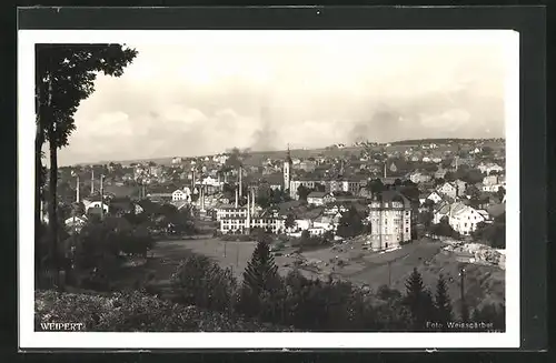 AK Weipert / Vejprty, Blick auf den Ort von Hügel aus