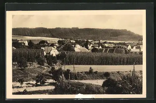 AK Pnetluky, Panorama mit Hopfenplantage