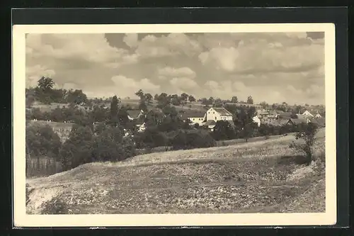 AK Zizelice u Zatce, Panorama