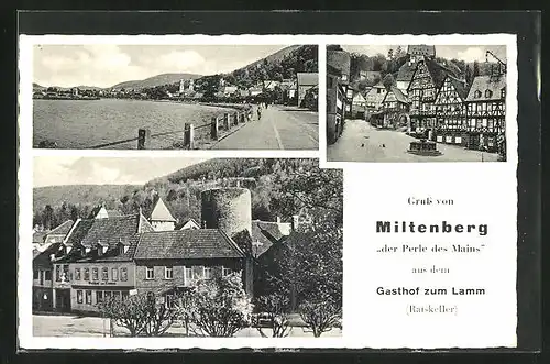 AK Miltenberg, Gasthof zum Lamm, Strassenpartie mit Fachhwerkhäusern, Uferpartie