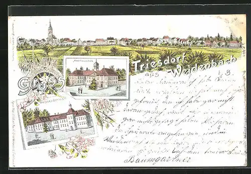 Lithographie Triesdorf-Weidenbach, Ackerbauschule, Weisses Schloss, Totalansicht