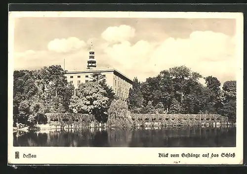 AK Dessau, Blick vom Gestänge auf das Schloss