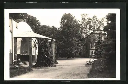 AK Msené-Lázne / Mscheno Bad, Partie im Kurpark