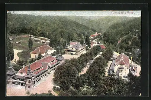 AK Alexisbad (Harz), Ortsansicht aus der Vogelschau