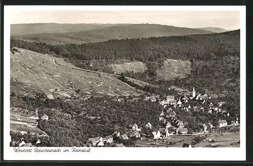 AK Steinreinach im Remstal, Totalansicht von einem Berg aus