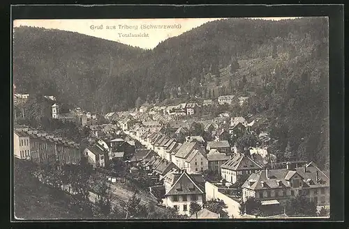 AK Triberg / Schwarzwald, Gesamtansicht