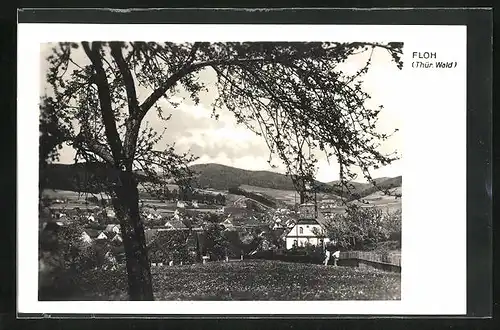 AK Floh / Thür. Wald, Gesamtansicht