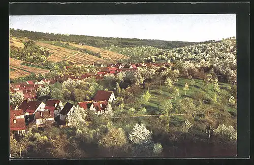 AK Strümpfelbach, Ortsansicht zur Kirschblüte