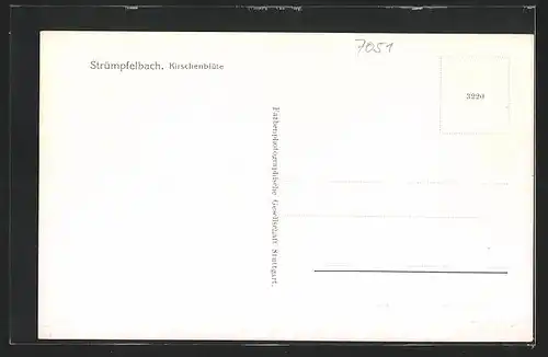 AK Strümpfelbach, Ortsansicht zur Kirschblüte