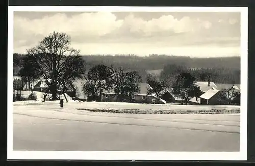 AK Hermes / Frankenwald, Teilansicht mit Pension Haueis im Winter