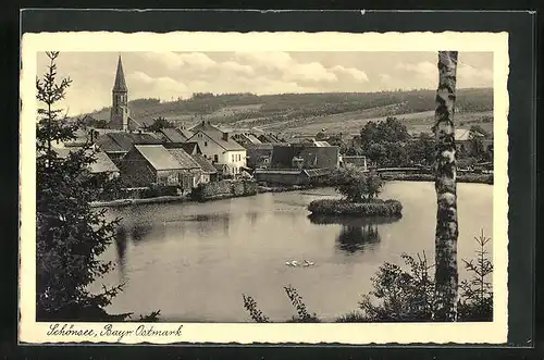 AK Schönsee / Bayr. Ostmark, Partie am See