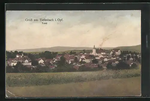 AK Tiefenbach / Opf., Totale von der Bergwiese gesehen