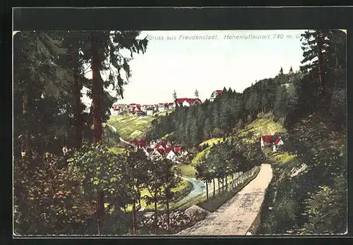 AK Freudenstadt, Totalansicht aus der Ferne