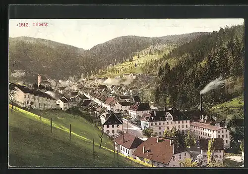 AK Triberg, Totalansicht aus der Vogelschau