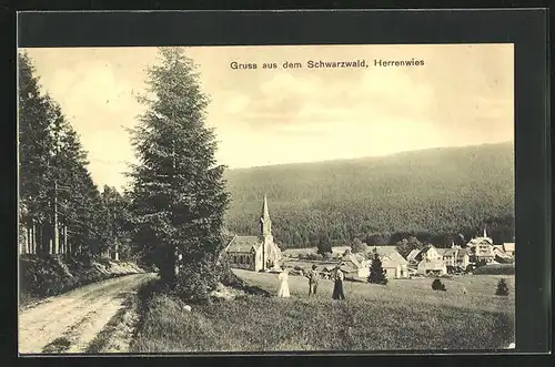 AK Herrenwies /Schwarzwald, Gesamtansicht aus der Vogelschau
