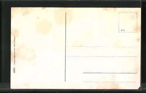 AK Inzigkofen, Partie im Donautal