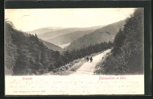 AK Hahnenklee im Harz, Blick in das Granetal