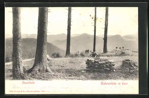 AK Hahnenklee im Harz, Blick zur Hexenbank