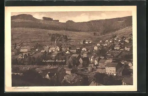 AK Manebach / Thür., Ortsansicht aus der Vogelschau