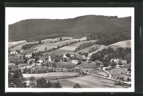 AK Reinerzau, Ortsansicht aus der Vogelschau