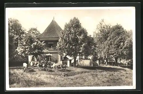 AK Tuppelburg, Hochwildpark, Kaffee- und Gastwirtschaft