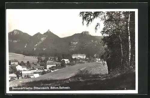 AK Dittersbach / Jetrichovice, Ortsansicht aus der Vogelschau