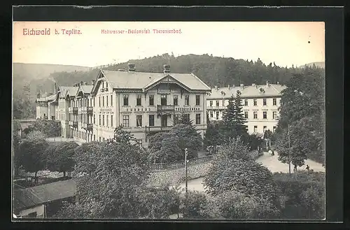 AK Eichwald, Kaltwasser-Heilanstalt Theresienbad