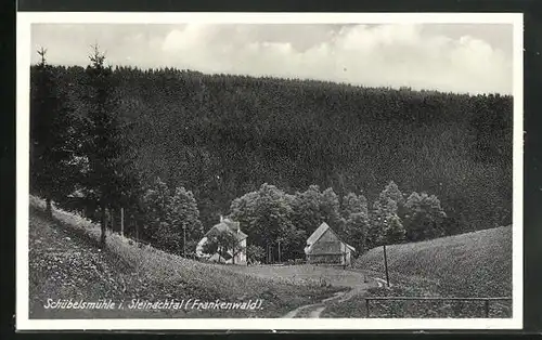 AK Presseck, Blick zur Schübelsmühle / Frankenwald