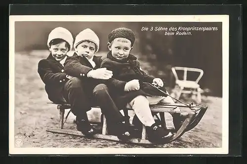 AK Die drei Söhne des Kronprinzenpaares Wilhelm von Preussen beim Rodeln