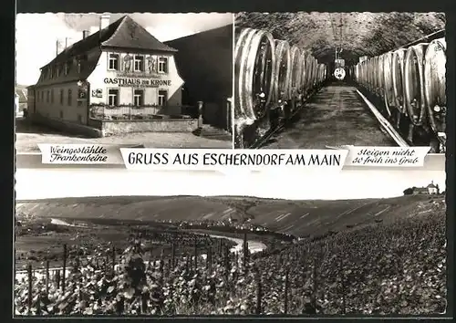 AK Escherndorf /Main, Gasthaus zur Krone, Ortsansicht mit Weinbergen