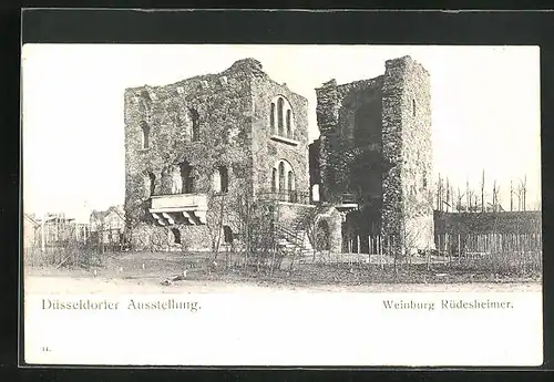 AK Düsseldorf, Ausstellung 1902, Weinburg Rüdesheimer