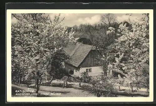 AK Ratiborice, Babiccino Udoli, Stare Belidlo