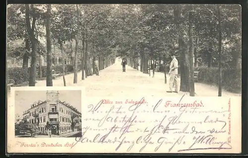 AK Franzensbad, Gasthaus Forster`s Deutscher Hof, Allee zur Salzquelle