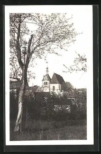 AK Zlutice, Teilansicht mit Kirche