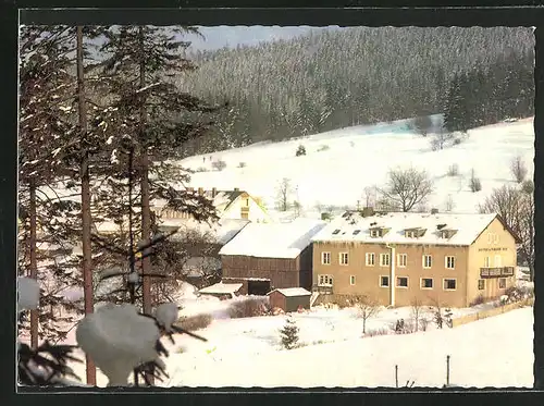 AK Altglashütte /Opf. Wald, Wald-Gasthof und Pension Blei