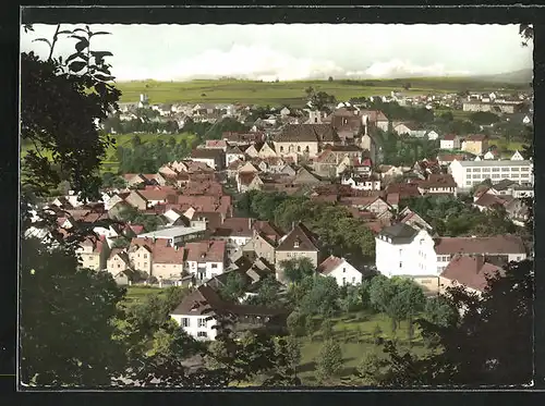 AK Neustadt /Waldnaab, Blick vom Waldrand auf die Stadt