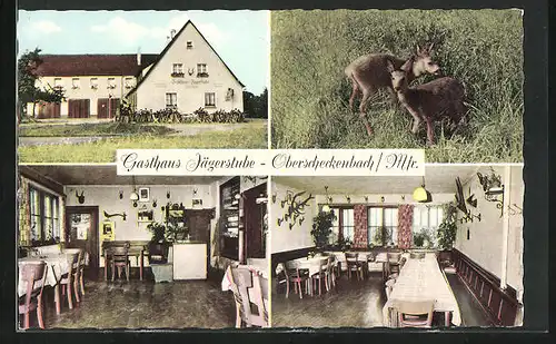 AK Oberscheckenbach /Mfr., Gasthaus Jägerstube, Rehe im hohen Gras