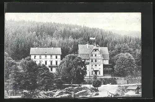 AK Heigenbrücken, Hotel Löwengrube