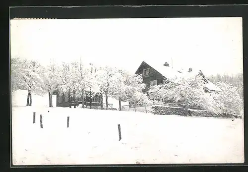 AK Cerna Hora u Janskych Lázni, Vila Louvrana