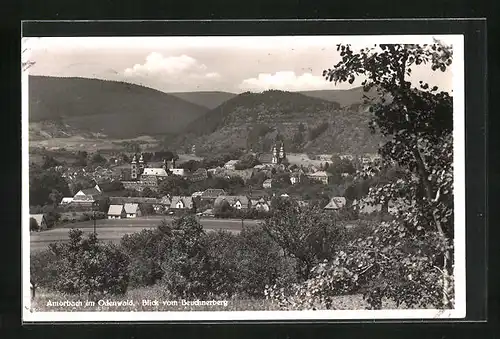 AK Amorbach, Blick vom Beuchnerberg