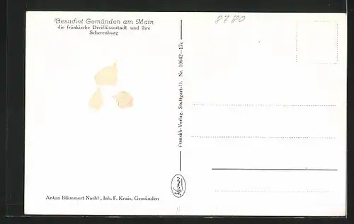 AK Gemünden a. Main, Ruinen der Scherenburg